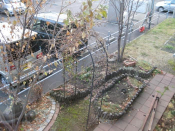 ｍｕｋｕの庭：フェンスを外した庭